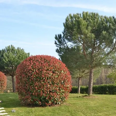 La Cadanellau Panzió